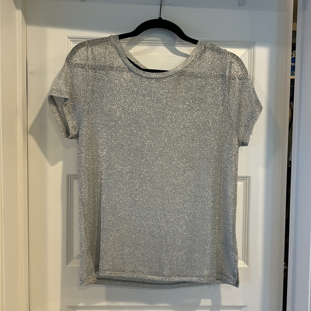 Shimmering Silver Top